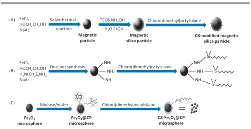 蛋白冠蛋白质组学技术大揭秘（IF46.2）！功能化纳米磁珠的制备与应用系统综述(图7)