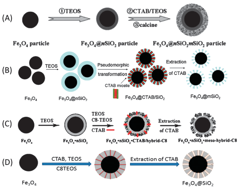 蛋白冠蛋白质组学技术大揭秘（IF46.2）！功能化纳米磁珠的制备与应用系统综述(图9)