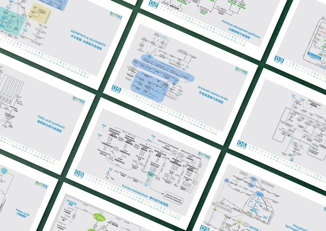 宠粉福利 | 2022独家定制代谢通路台历包邮免费送！(图4)