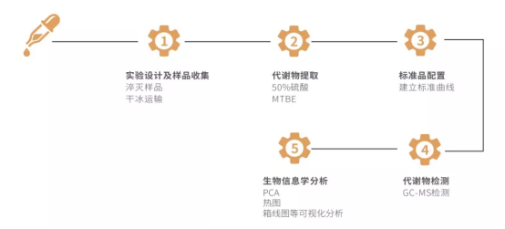七夕特惠丨短链脂肪酸特惠活动（低至6折，快至10天）等你来(图3)