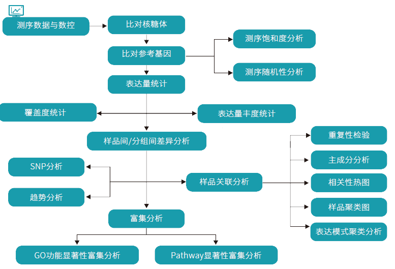 转录组测序的分析流程