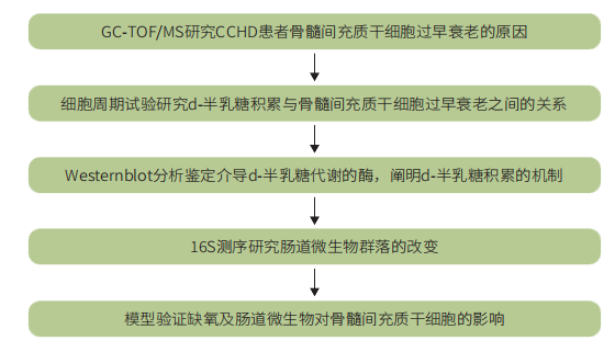 研究思路-医