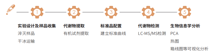 胆汁酸技术路线