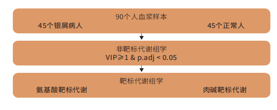 研究思路