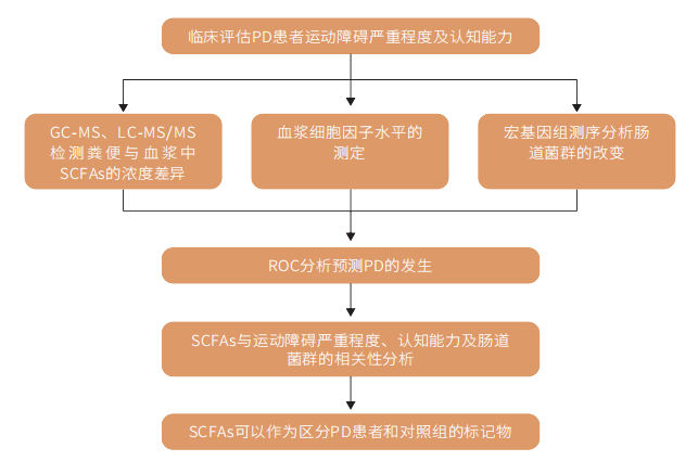 研究思路