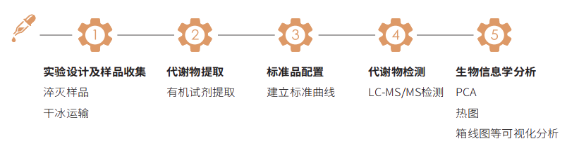 技术路线