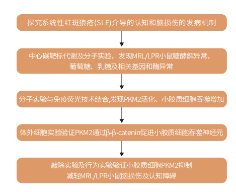 研究思路