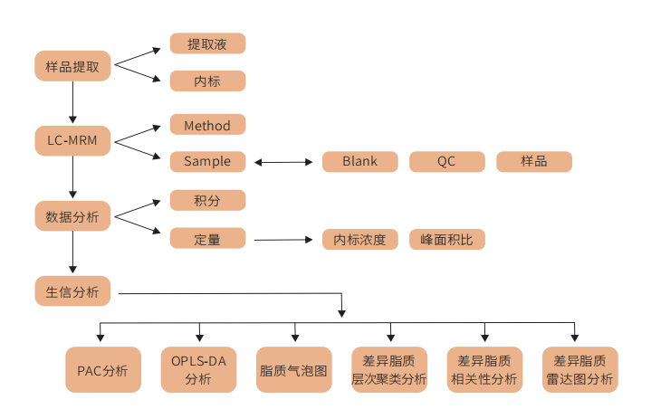 定量脂质组学高通量靶标定量技术路线