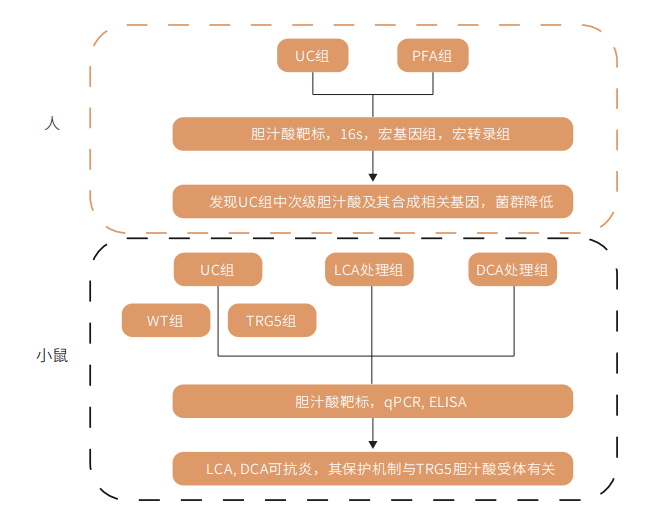 研究思路