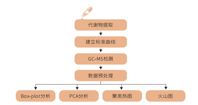 技术路线
