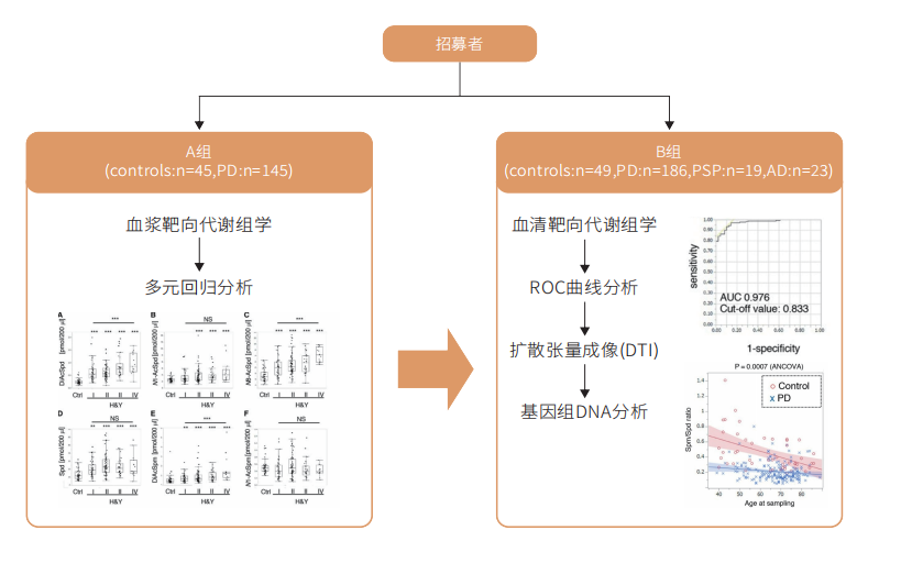 研究思路