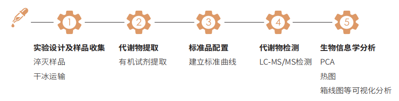 氧化三甲胺及相关代谢物技术路线