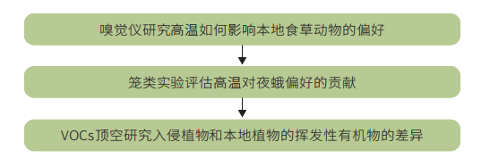 研究思路