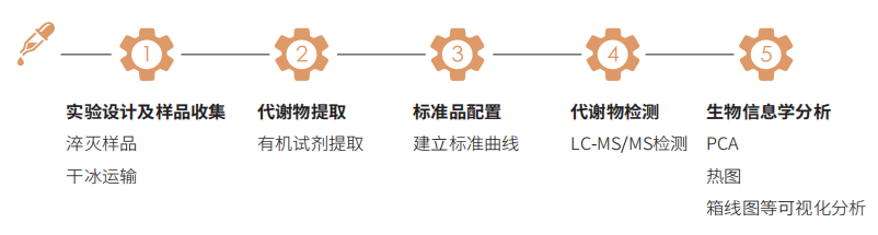 色氨酸代谢高通量靶标定量技术路线