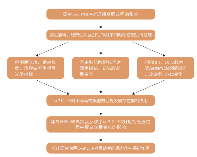 研究思路