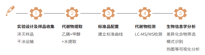 植物类胡萝卜素技术路线