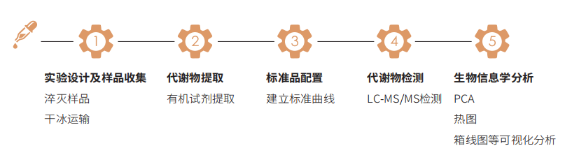 类固醇激素技术路线