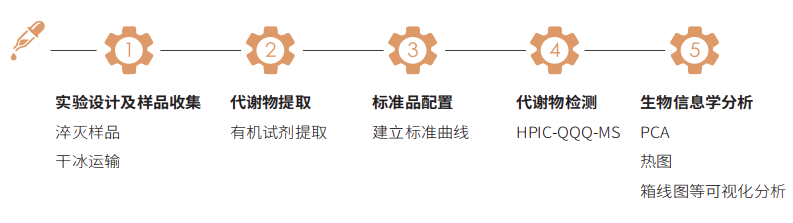 技术路线