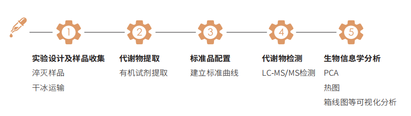 氧化脂质高通量靶标定量技术路线