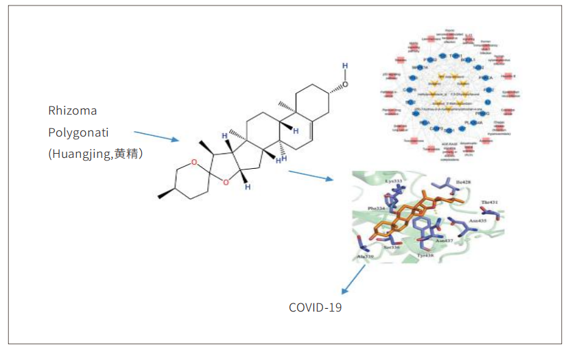 黄精中化合物与SARS-CoV-2蛋白结合示意图