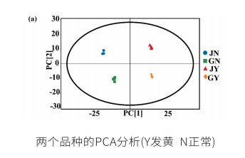 结果展示