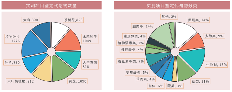 实测结果