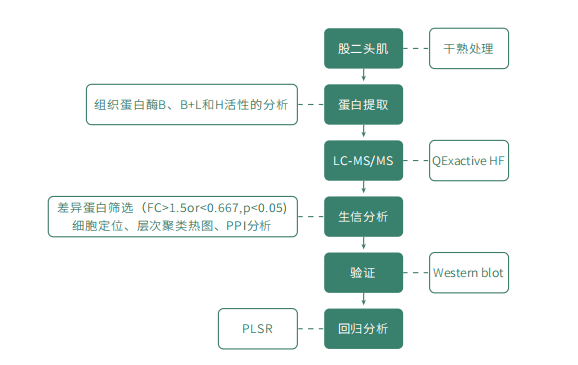 技术流程