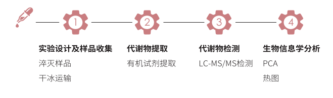 植物MRM阿趣广靶®代谢组学技术路线