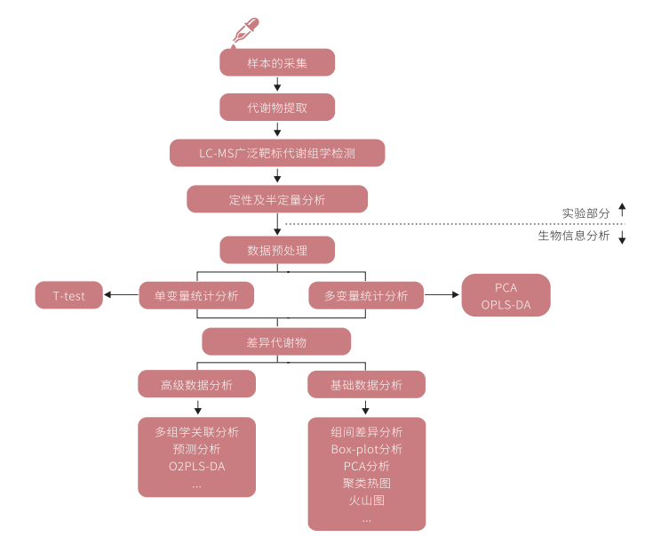 类黄酮广靶代谢组学技术路线