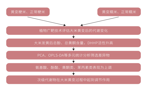 研究思路