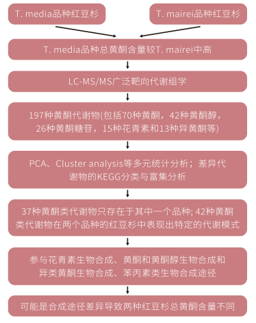 类黄酮广靶代谢组学研究思路