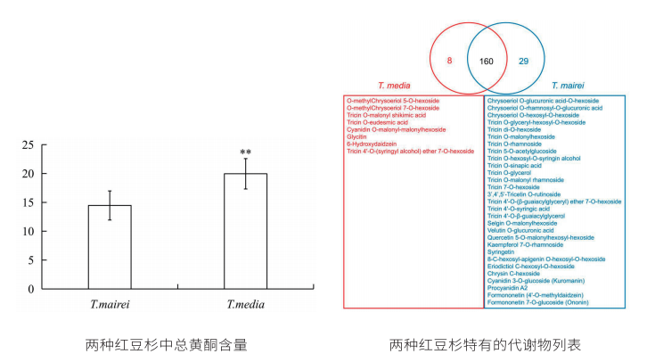 类黄酮广靶代谢组学结果展示