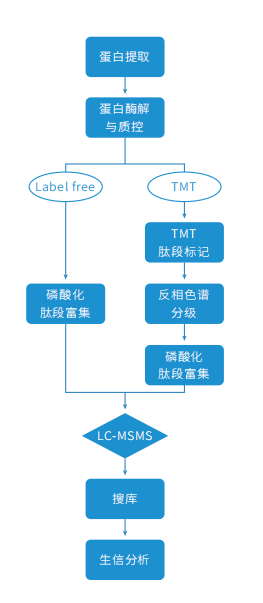 磷酸化修饰蛋白组学(图11)