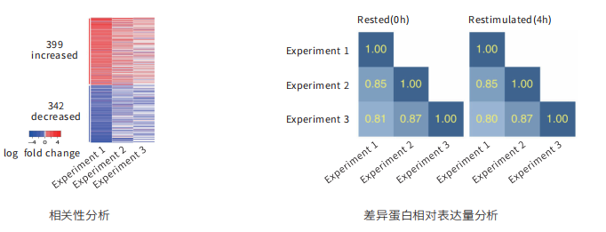 实验结果