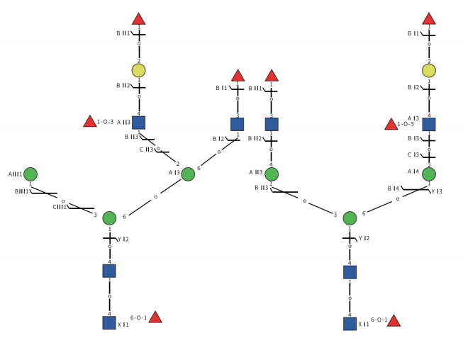 N-连接糖序列和位置异构体分析展示