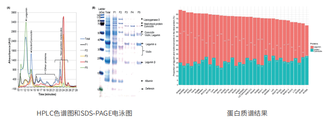 定性鉴定蛋白质组学