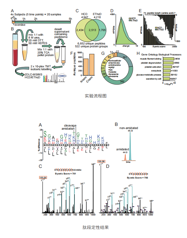 Multiplexed Temporal Quantification of the Exercise-regulated Plasma Peptidome