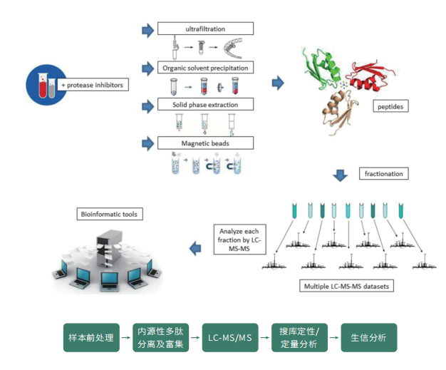 多肽组学技术流程