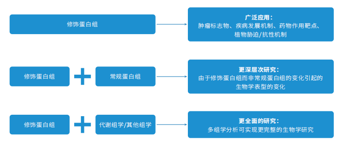 修饰推荐方案