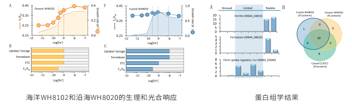 PRM靶向蛋白质组学