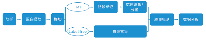 乙酰化修饰组学