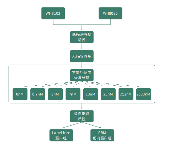 PRM靶向蛋白质组学