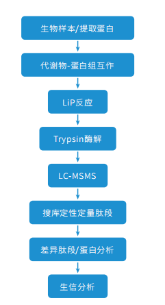 MetPro技术流程