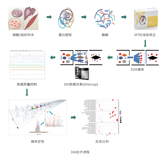 DIA技术流程