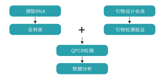 技术路线