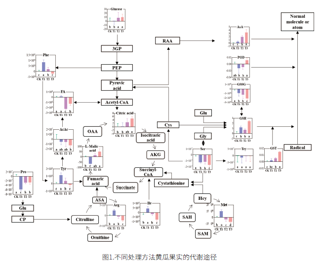 非靶向代谢组学-阿趣生物