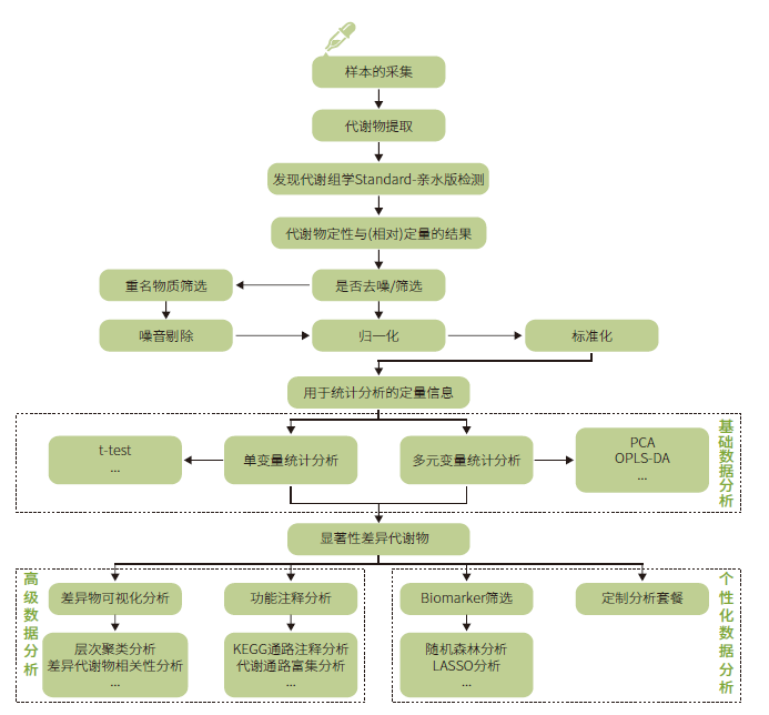 发现代谢组学Standard-亲水版技术路线