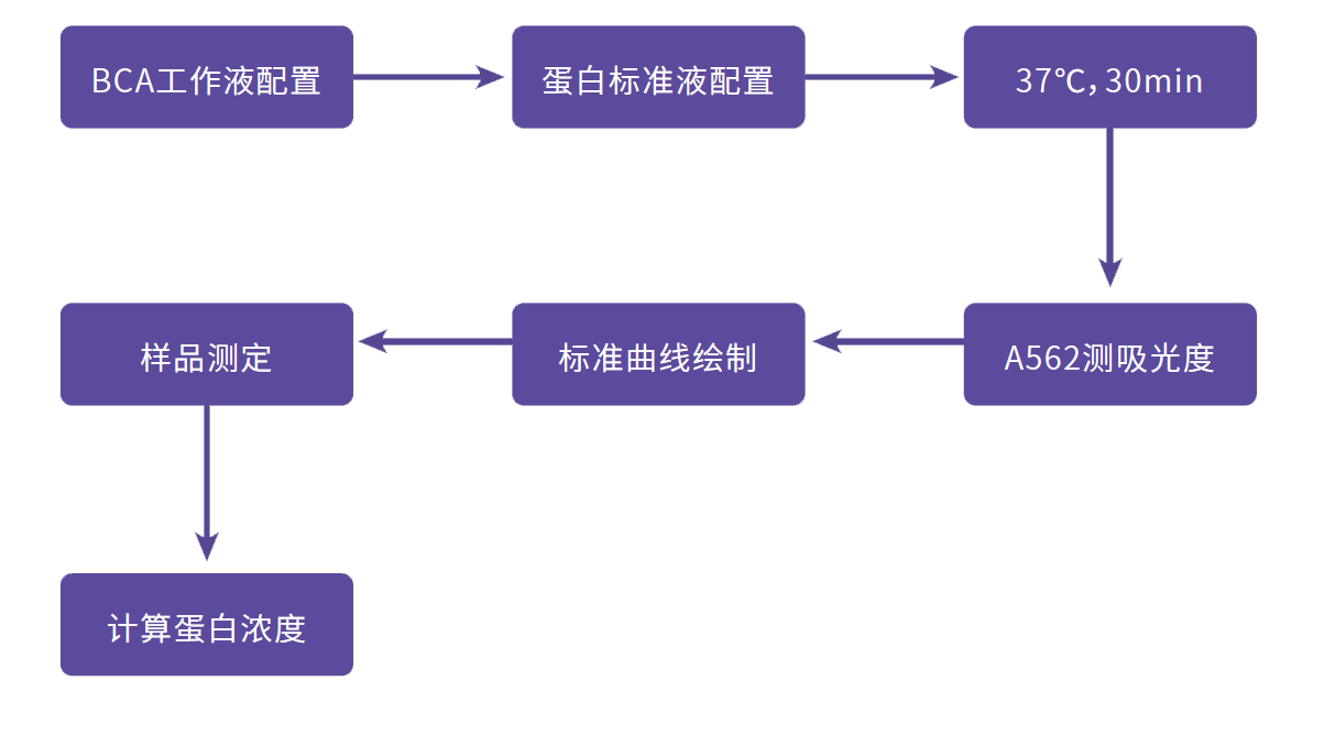 基本流程