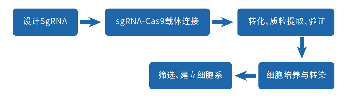 技术流程