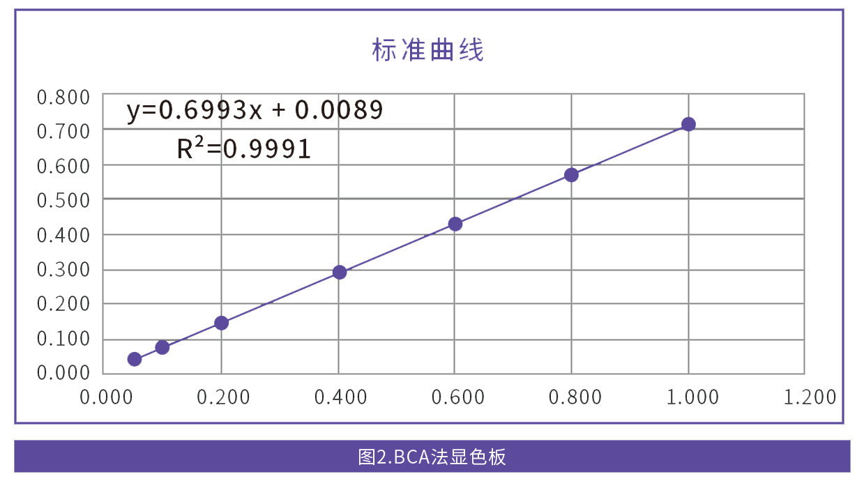 结果展示